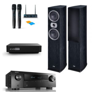 Комплект для караоке и кинотеатра HOME STEREO