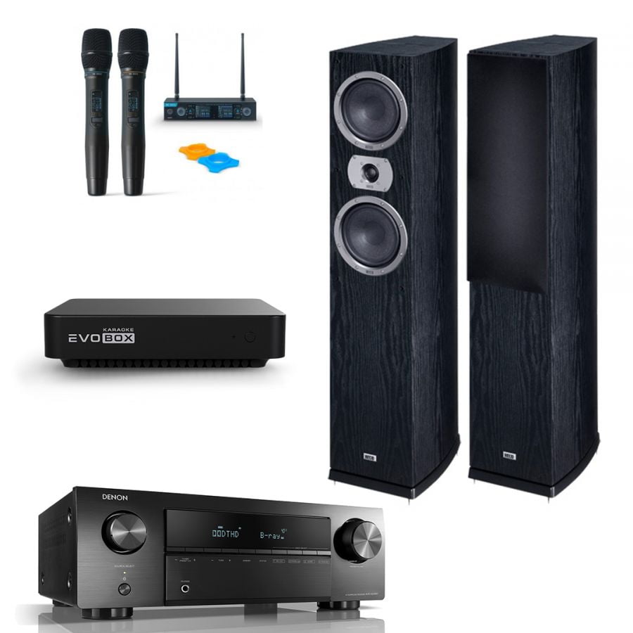 Комплект для караоке и кинотеатра HOME STEREO