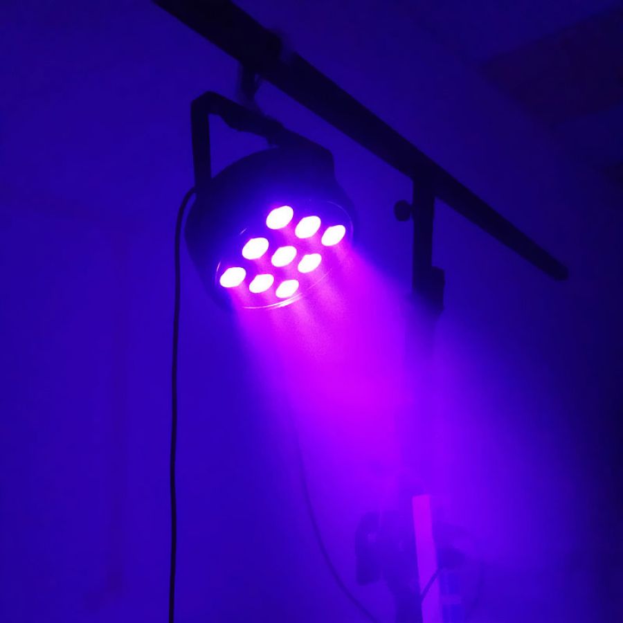 2403201912_70f8a9a981