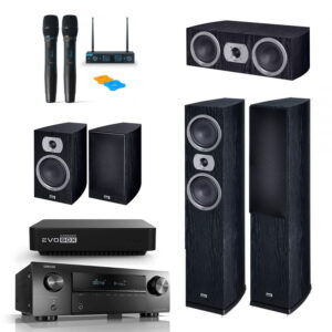 Комплект для караоке и кинотеатра HOME 5.0